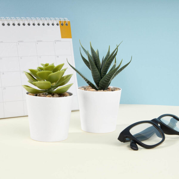 Set De Plantas Aliso Blanco - Imagen 6